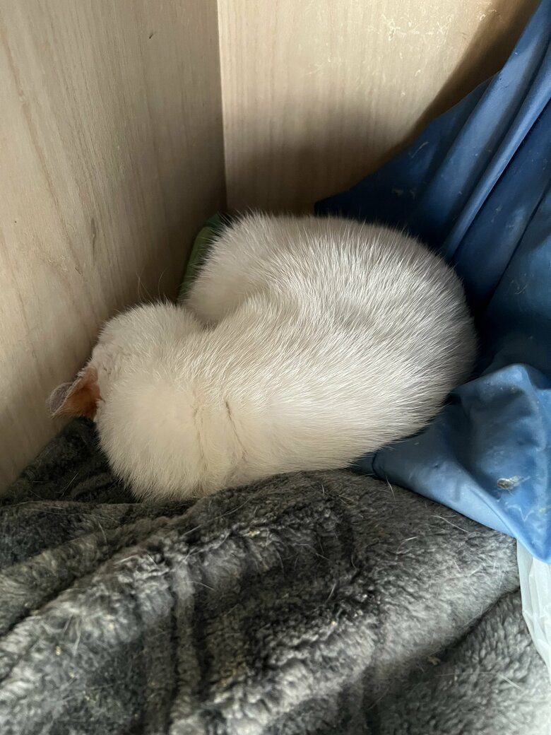 いつもお疲れ様です！