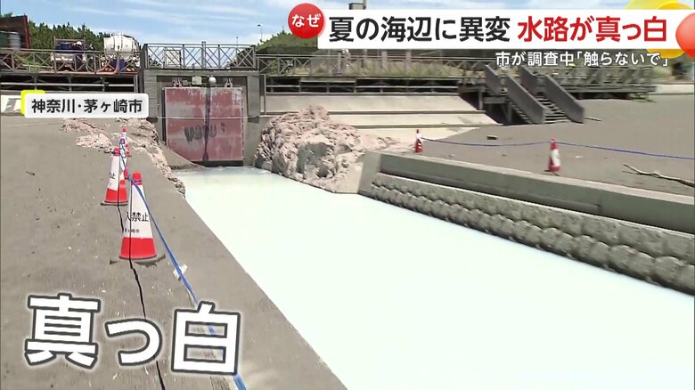 真っ白になった海辺の水路