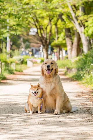 提供：うにandおからさん