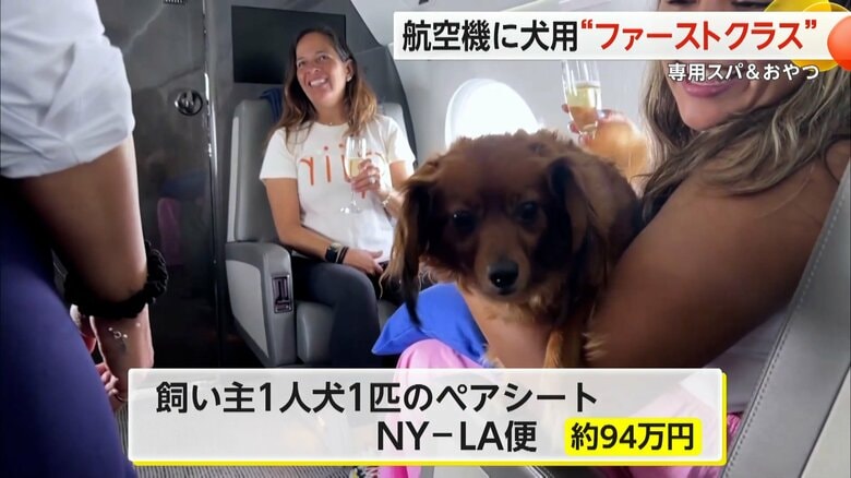 飼い主1人、犬1匹のペア・シートで日本円にして約94万円という新サービス