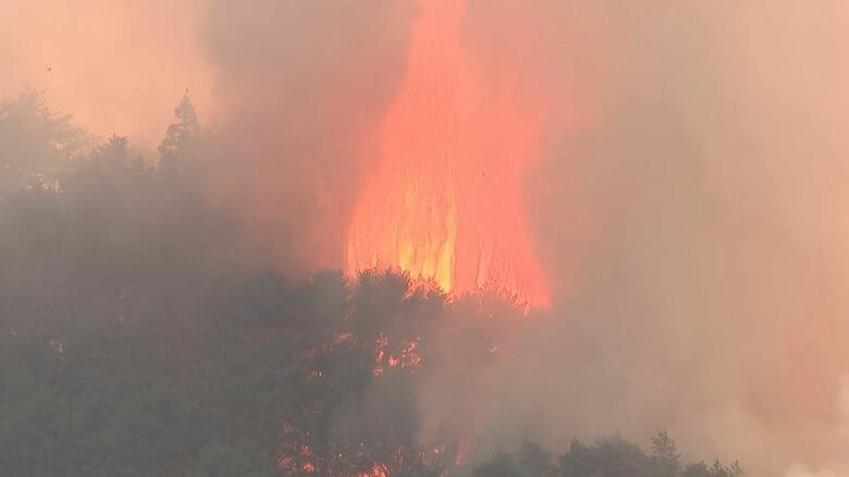 岩手・大槌町の山林火災現場