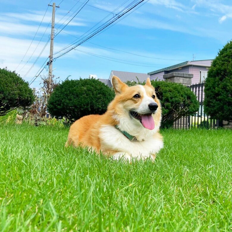 提供：むぎん家＠きよらさん