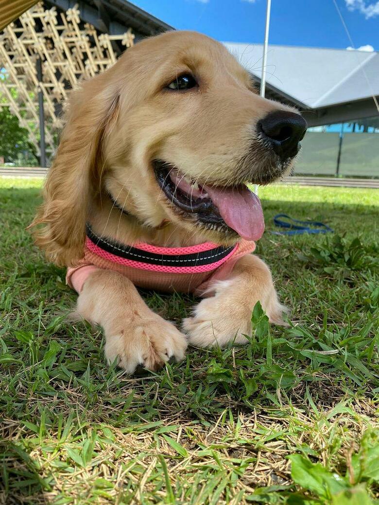 提供：関口和也さん