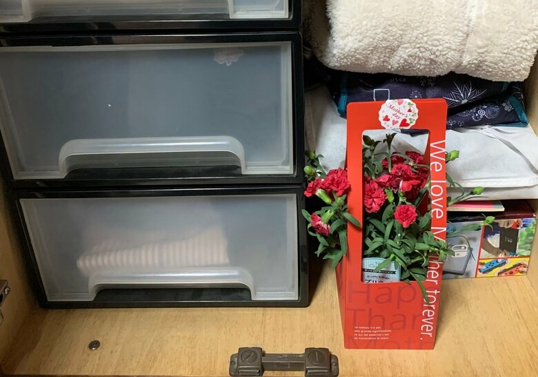 メテ子さんによる発見当時の「再現写真」