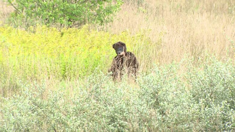ヒグマ役を用意して行われた訓練の様子