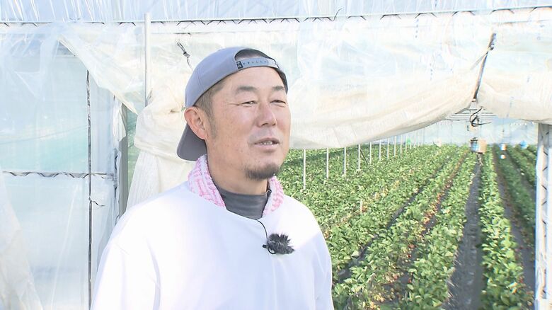 「博多あまおう」生産者　野田義和さん
