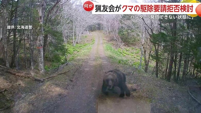 ヒグマが車に突進してフロントガラスとワイパーを破壊する様子