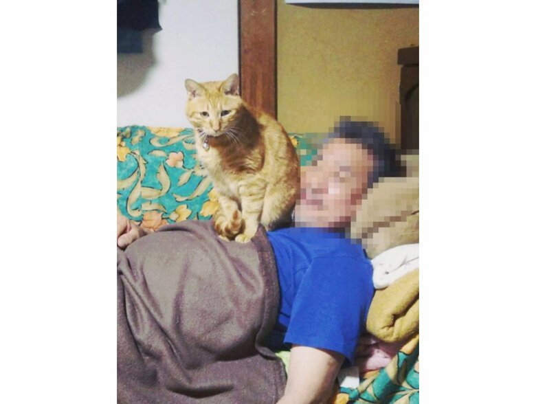 提供：サユヤスさん