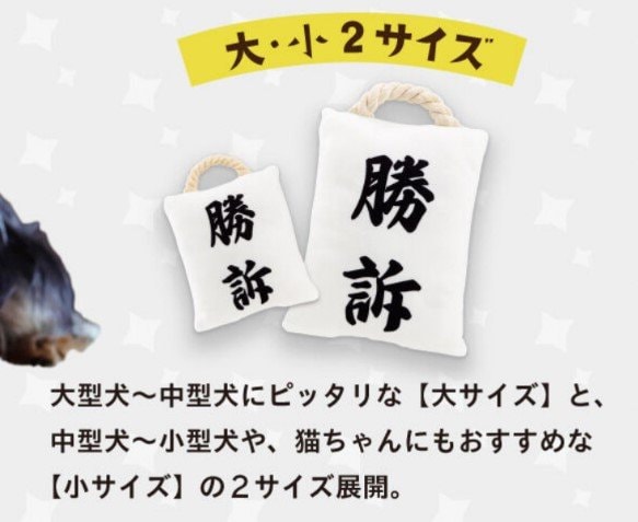 大と小の2サイズ展開（提供：バンダイ）