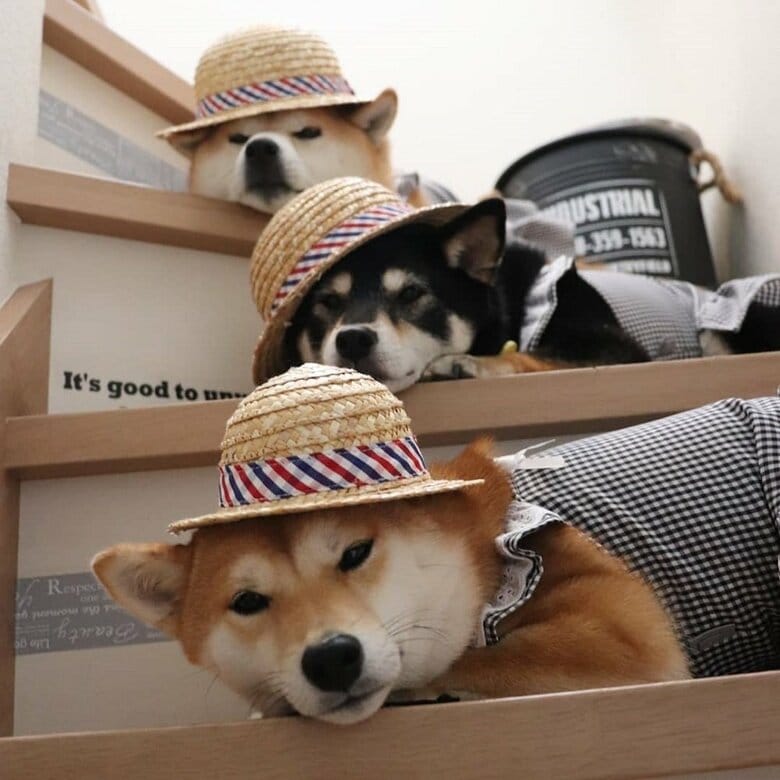 新作ワンピースを階段ショットで