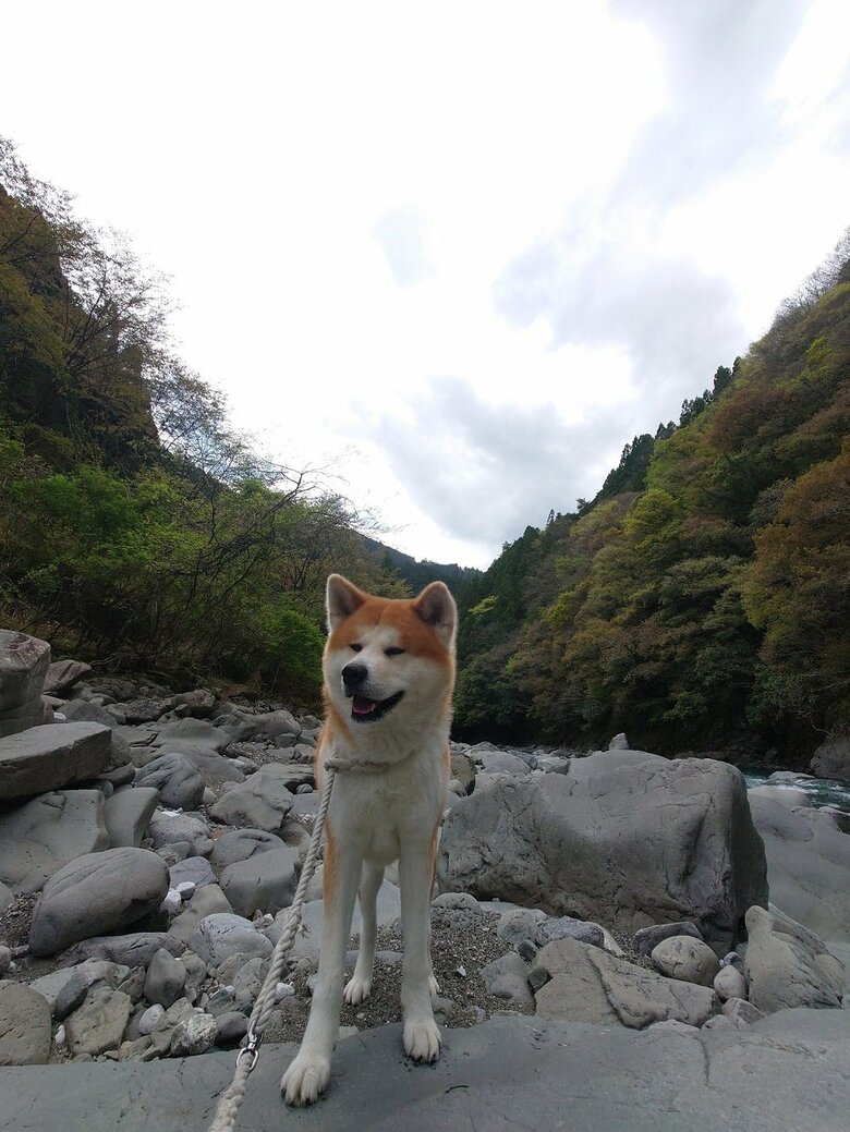 雷くん