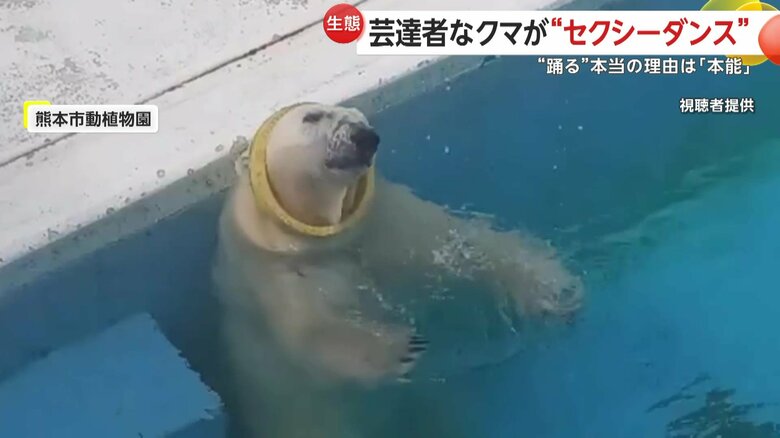 黄色い輪っかをネックレスのように首に通す芸達者なマルル