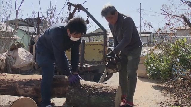 会津桐の伐採から下駄の製作・販売までを手掛けている