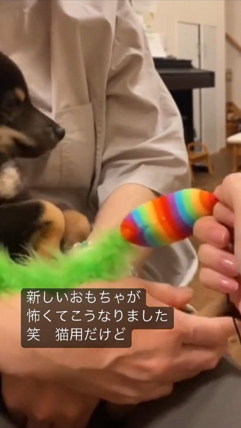 ビクリと反応しのけぞって逃げる