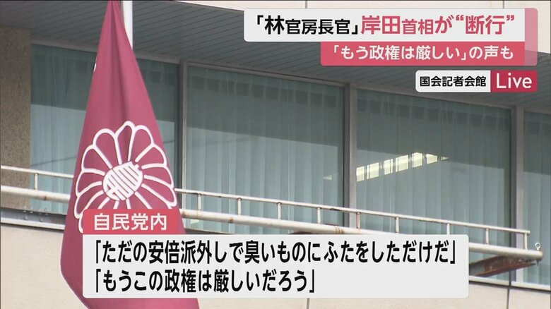 自民党内からも冷ややかな声