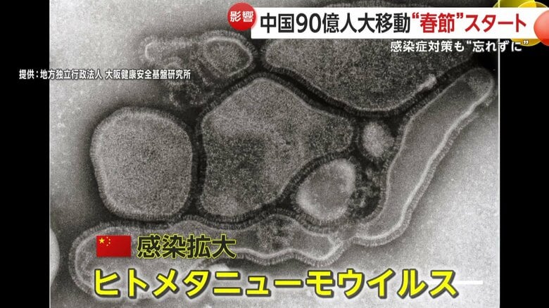 感染拡大が懸念されるヒトメタニューモウイルス