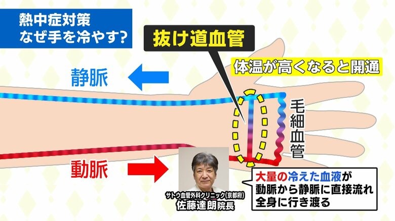 手のひらを冷やし全身に冷たい血液を流す