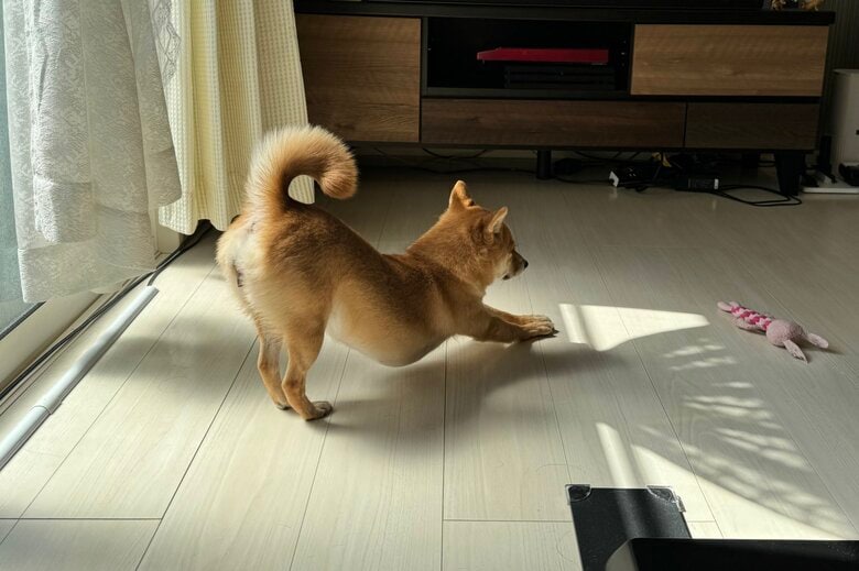 ストレッチ中