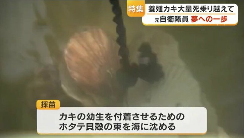 「採苗」