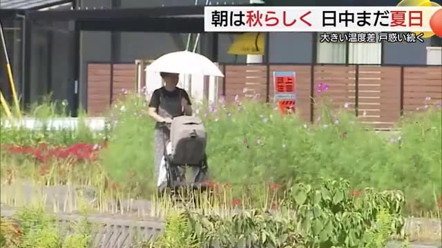 秋の気配も残暑続く山陰　朝晩は冷え込み体にこたえる寒暖差に注意　コスモスの開花も1週間遅れ