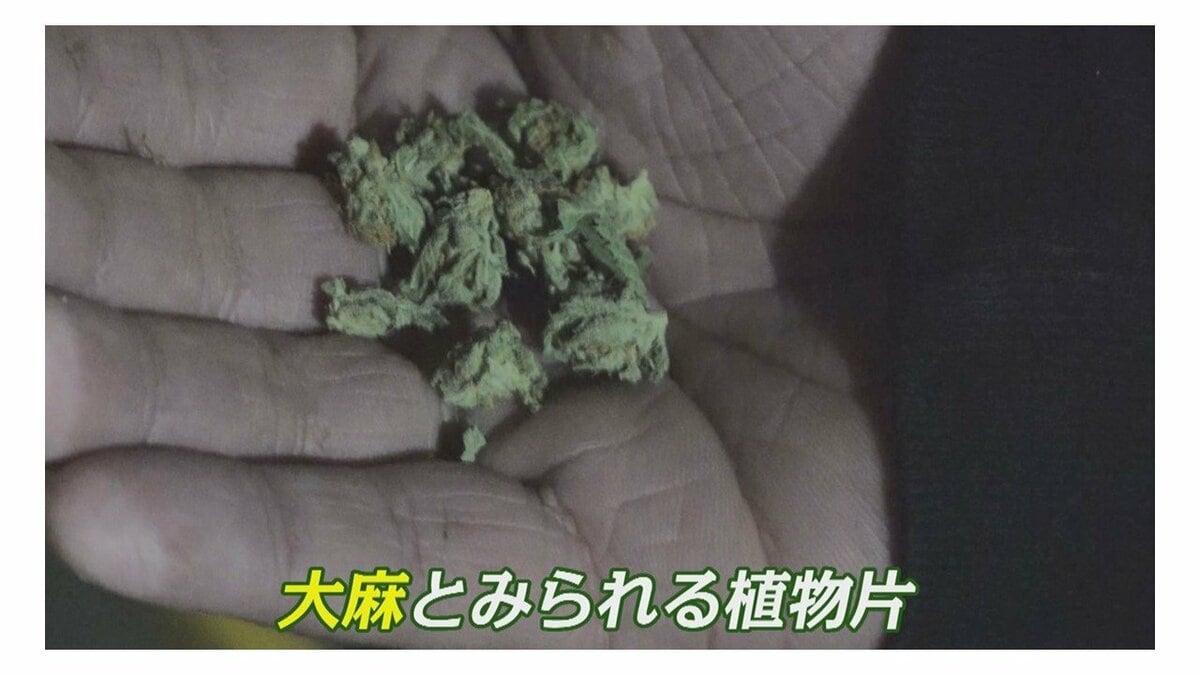 若年層に広がる大麻 売人 の男を直撃 薬物じゃない 植物です 福岡発 Fnnプライムオンライン