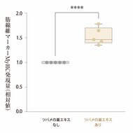 【特許取得】天然アナツバメの巣エキスが、筋肉の「修復と増強」を促す可能性