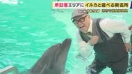 堺の街中でイルカと触れ合える新名所も！大阪・堺市にひっそり存在「レンガ造りの“凱旋門”」の正体とは？　唯一の酒蔵で極上の酒を堪能　貝殻を床に捨てるユニーク名店で食べる天丼【兵動大樹今昔さんぽ】