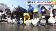 「大きくなって帰ってきてね」　サケ漁盛んな地域の子供たちが稚魚放流　海への旅立ち見送る　秋田・大仙市