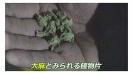 若年層に広がる大麻 “売人”の男を直撃「薬物じゃない。植物です」【福岡発】