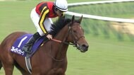 【エリザベス女王杯】復活期す3歳馬レガレイラ、古馬撃破へ！