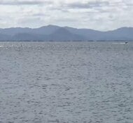 ウインドサーフィン中の8人が強風で漂流　「風にあおられている」と湖上から110番通報　　大学のクラブ活動中の男女8人がトラブル　約1時間後に全員救助も1人軽傷　滋賀・琵琶湖