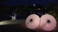 日本三大名園・岡山後楽園の夜をあたたかな光で演出…恒例の「春の幻想庭園」５月５日まで【岡山・岡山市】