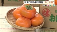 “おけさ柿”小ぶり傾向も糖度は例年以上！ビタミンCやポリフェノール含み栄養も満点「風邪ひきやすい秋にたくさん食べて」