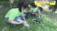 リアル“3匹の子ブタ”登場 ブタチームと一緒にデビューに向け猛特訓中【香川・東かがわ市】