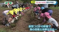 「さつまいもの日」に合わせて長崎市の園児が収穫体験