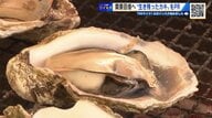 今がプリプリ！ 大量死を生き延びた“広島カキ”　かき祭りは大盛況「悩んでいる場合じゃない、カキはまだある」