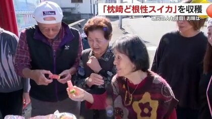まさかの11月にスイカ日和　コンクリートの隙間から育ったスイカが町を笑顔に【鹿児島発】
