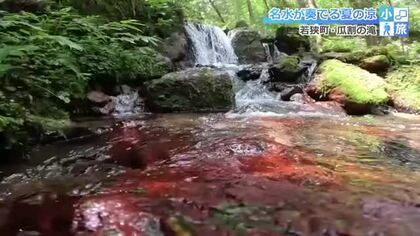 真夏でも水温12度　“瓜が割れるほど冷たい”若狭町「瓜割の滝」　大地の恵みが育んだ澄んだ水の音と森の香りを感じる小旅
