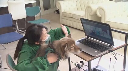 認知症の進行遅らせる効果も…悲しみを知る元保護犬”が「セラピードッグ」に　障害者らの心身をケア