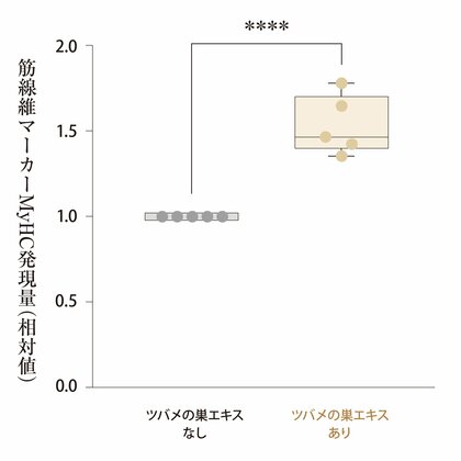 【特許取得】天然アナツバメの巣エキスが、筋肉の「修復と増強」を促す可能性