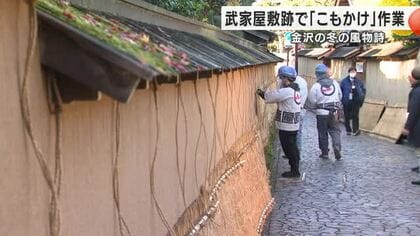 金沢・武家屋敷跡が冬の装いに…土塀を守る「こも掛け」作業