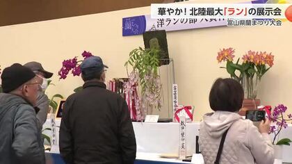 北陸最大の蘭展示会が開幕　富山県中央植物園で54回目の「蘭まつり大会」