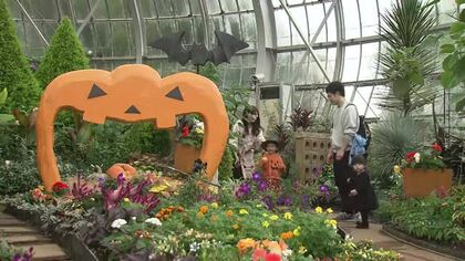 “タマネギハウス”がハロウィン仕様に　大きなカボチャのフォトフレームも　福井県総合グリーンセンターで31日まで