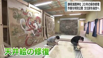 20年に及ぶ保存修理事業　静岡浅間神社が工事の様子を特別公開　来場者が熱心に見学