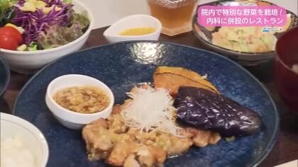 病院で特別な野菜を栽培！上原内科併設レストラン【トレリン】