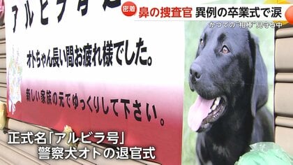 “鼻の捜査官”10歳のリタイア警察犬「オト」“元相棒”との新生活　セカンドライフは“上司と部下“から“家族“に