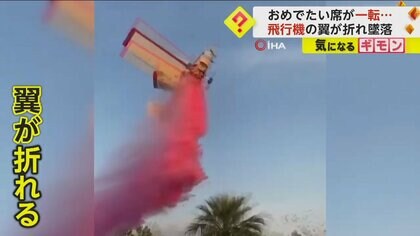 おめでたい席が一転…飛行機の翼折れ“墜落”　赤ちゃんの性別発表パーティーで歓喜と悲鳴　パイロット死亡　メキシコ