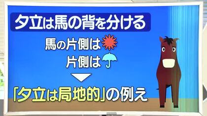 【天気／山形】夕立は馬の背を分ける＆12日の詳しい天気　中村友祐気象予報士の天気予報(2)