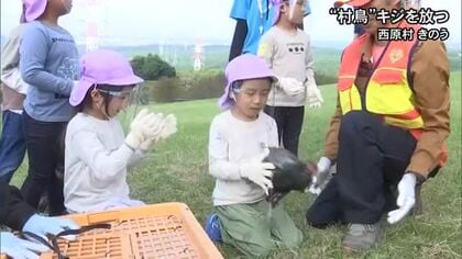 “村鳥”キジの放鳥　西原村の園児が体験【熊本発】