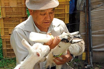 ヤギと暮らす人たちに聞く“飼う”ことの魅力。かわいくて、よくなついて